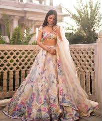 Beautiful Lehenga (Copy)